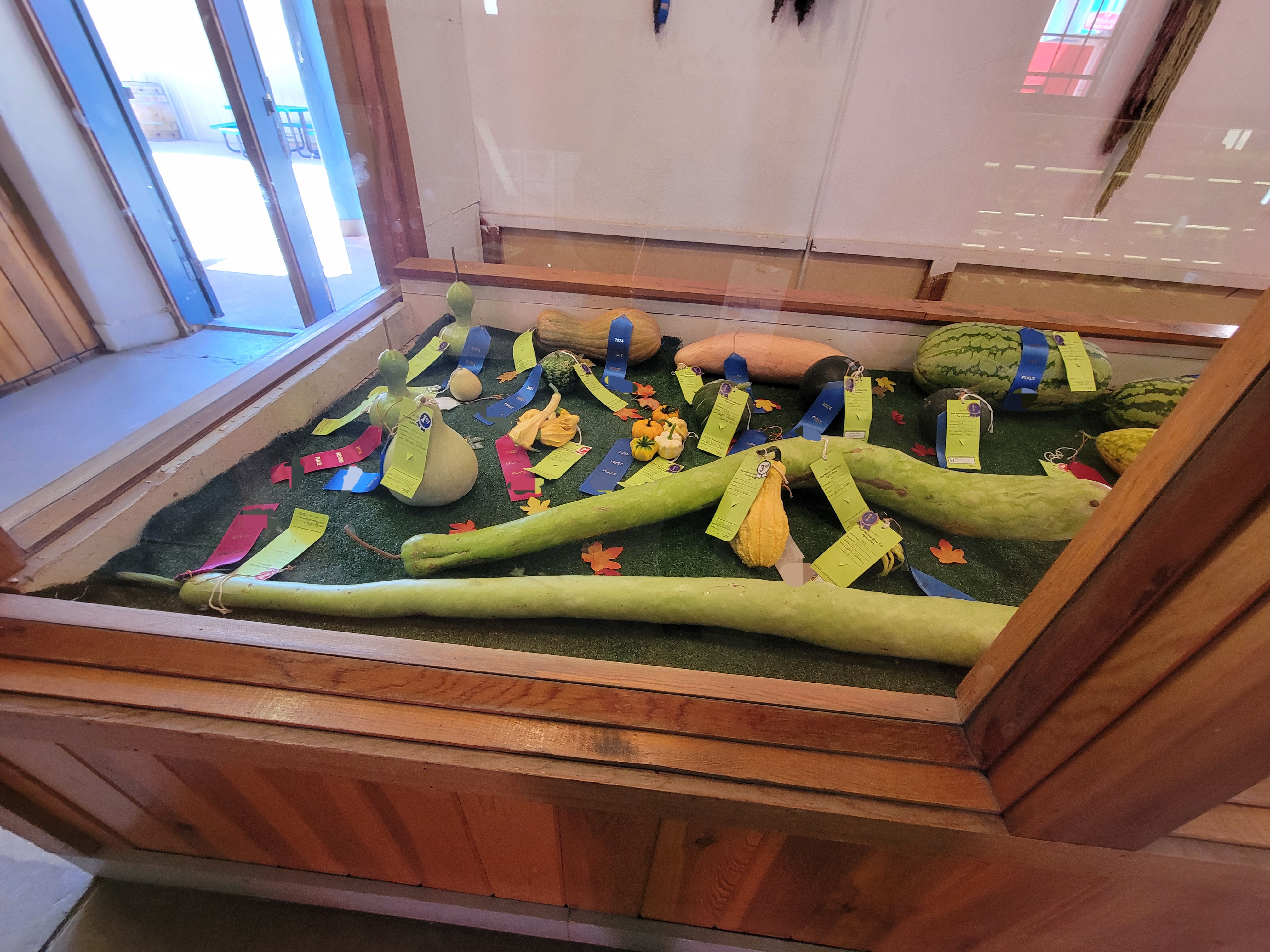 Glass display full of large or unusual shaped produce with awards on them.